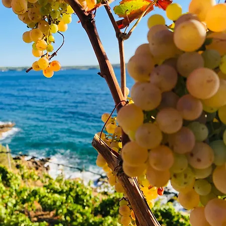 Couette-café Pansion Jakas