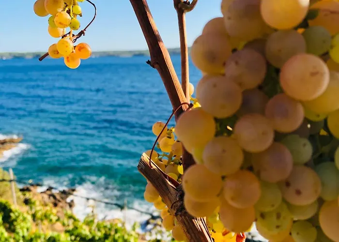 住宿加早餐酒店 Pansion Jakas